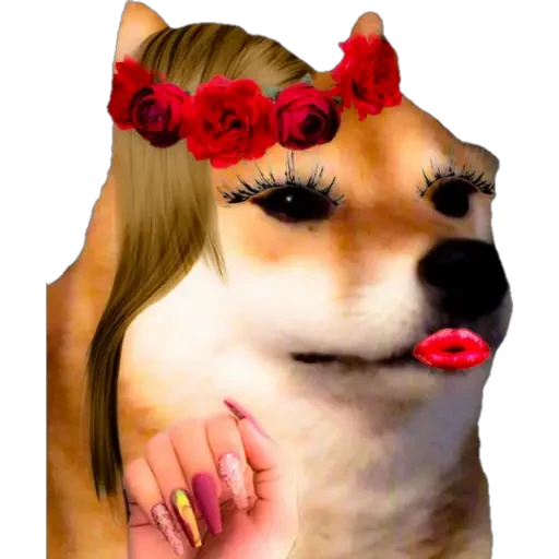 No Mi Ciela
