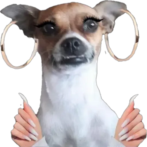 No Mi Ciela