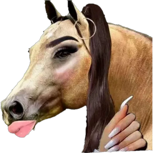 No Mi Ciela