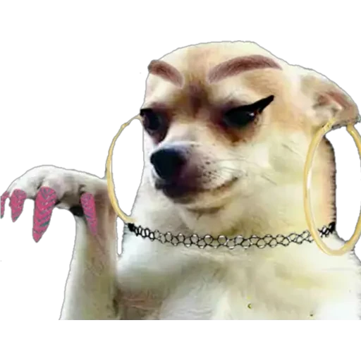 No Mi Ciela