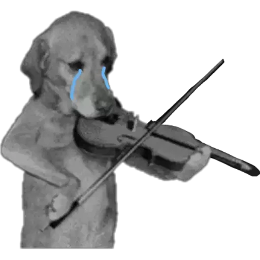 notjustdogs