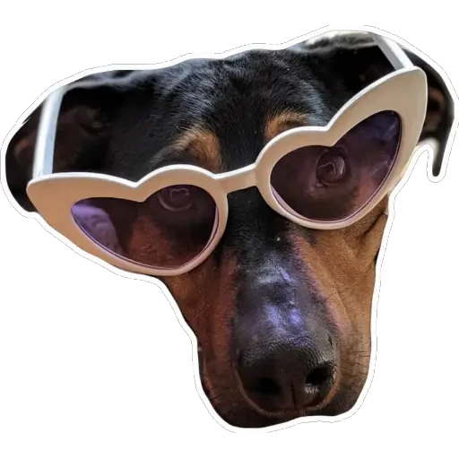 notjustdogs preview