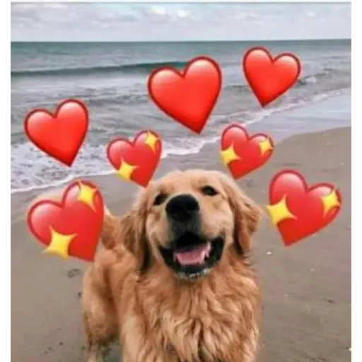 notjustdogs