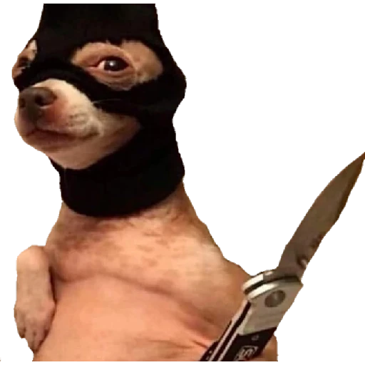 notjustdogs