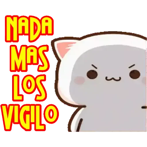 Mochis Peach Cat Admin