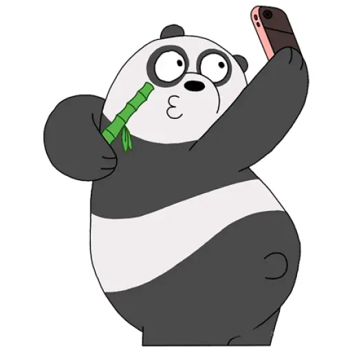 Panda Polar (We Bear Bears) PanPan