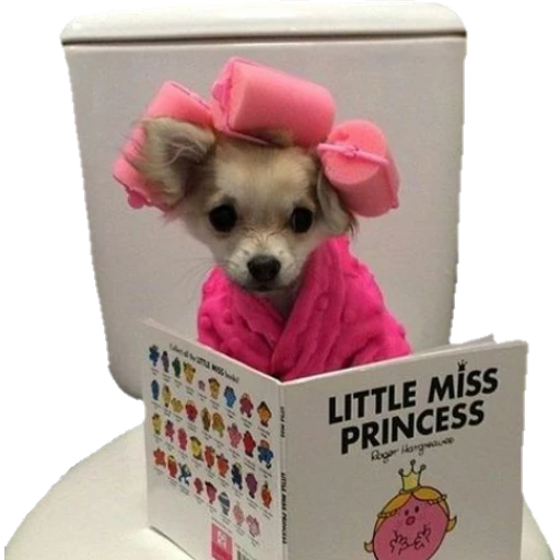 Perritos