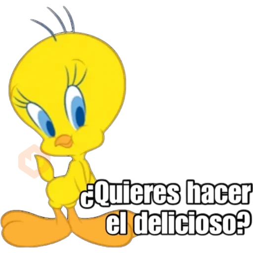 Piolín sticker 20