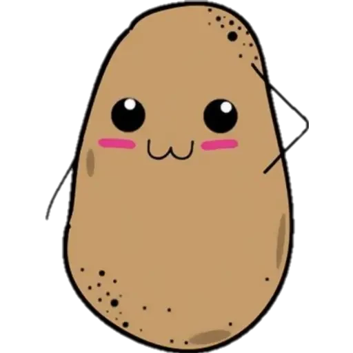 Potato