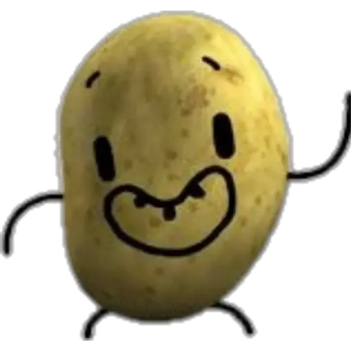 Potato