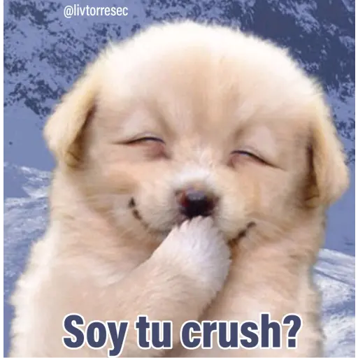 PUPPY