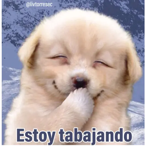 PUPPY