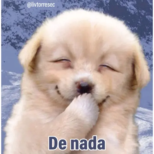 PUPPY