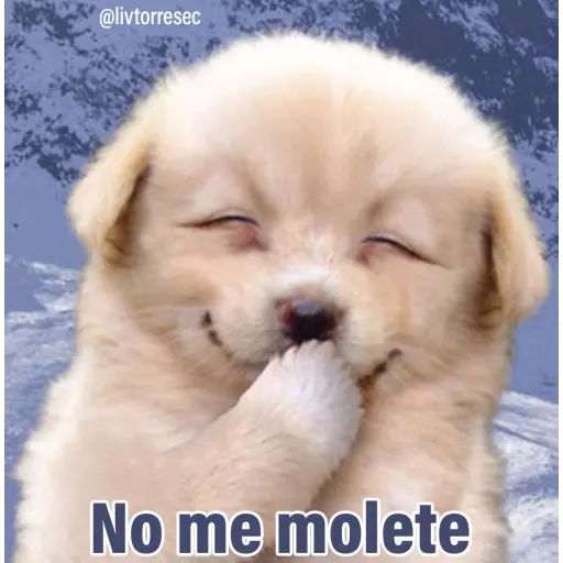PUPPY