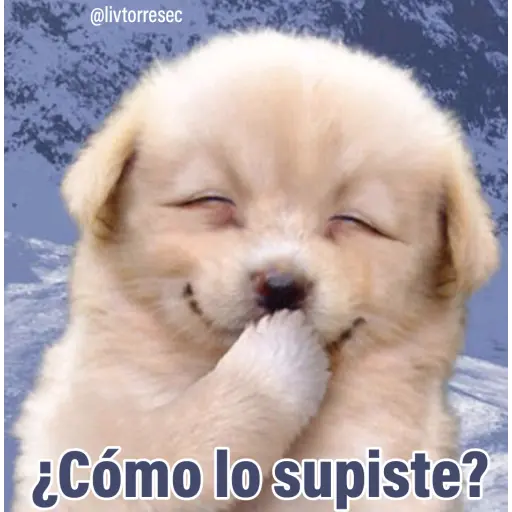 PUPPY preview