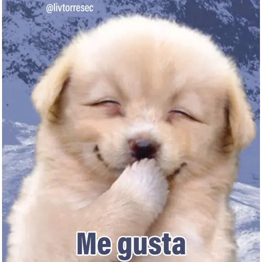 PUPPY