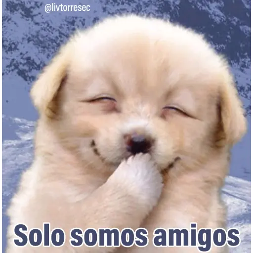 PUPPY