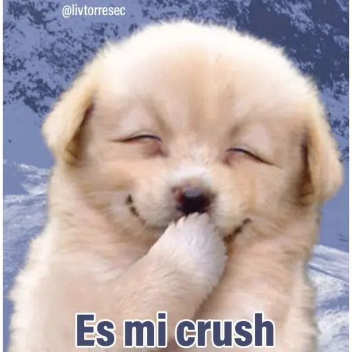 PUPPY preview
