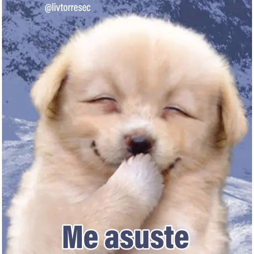 PUPPY