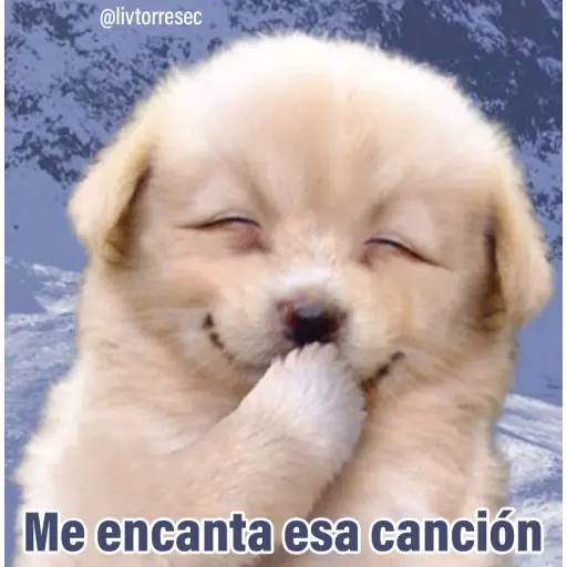 PUPPY