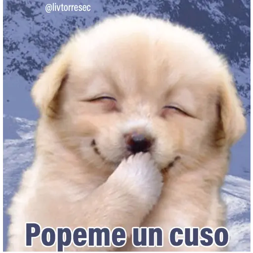 PUPPY
