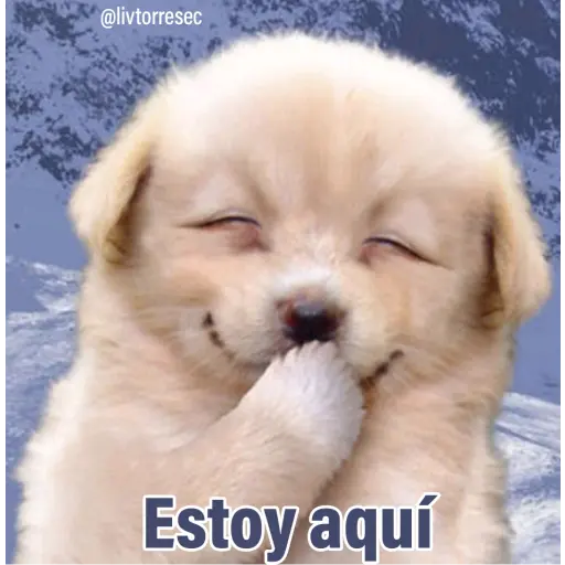 PUPPY