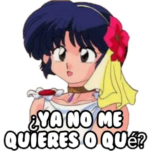 Ranma y medio