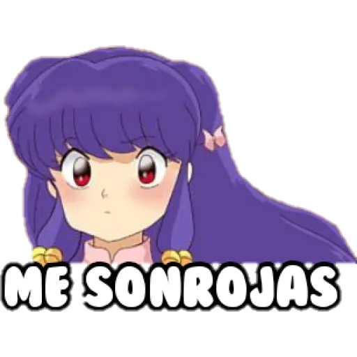 Ranma y medio