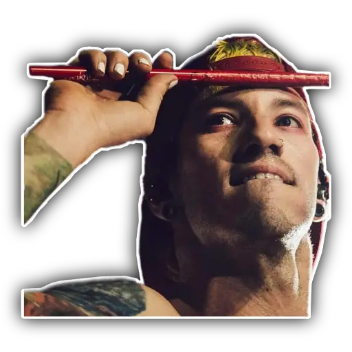 ●Twenty One Pilots● 