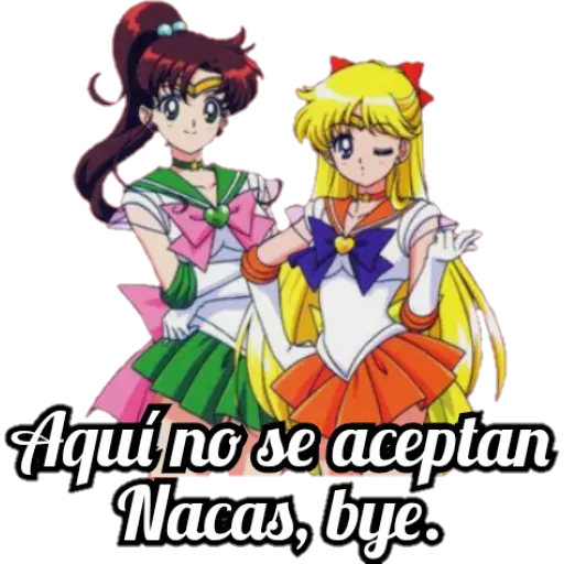 Sailor Moon 3
