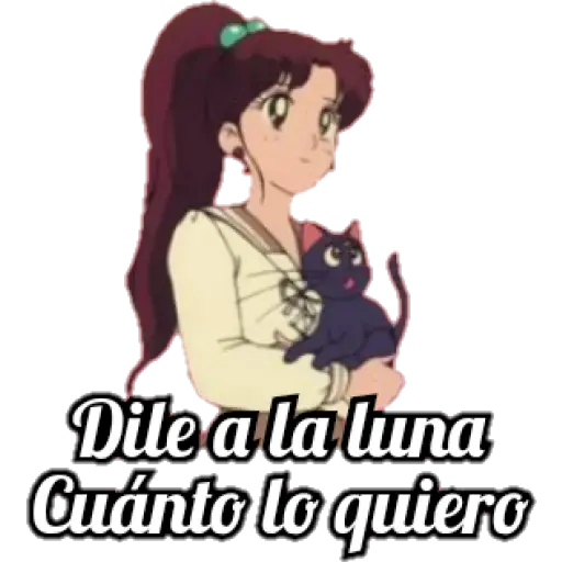 Sailor Moon 3