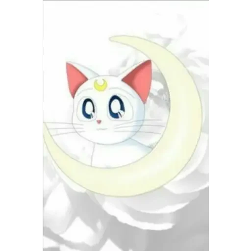 Sailor Moon #4