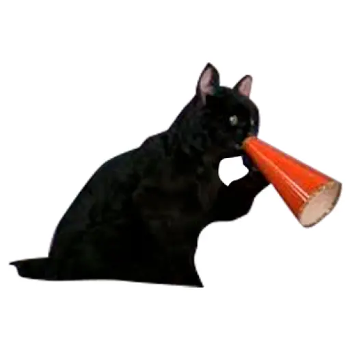 Salem Saberhagen (Sabrina the Teenage Witch)
