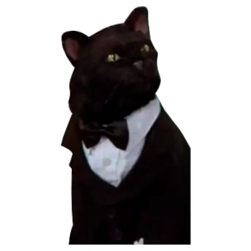 Salem Saberhagen (Sabrina the Teenage Witch)