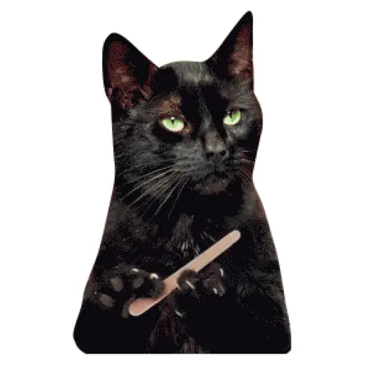 Salem Saberhagen (Sabrina the Teenage Witch)