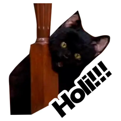Salem Saberhagen (Sabrina the Teenage Witch)