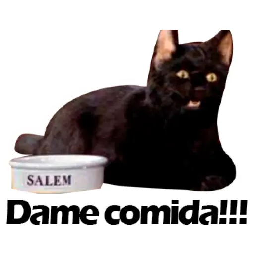 Salem Saberhagen (Sabrina the Teenage Witch)