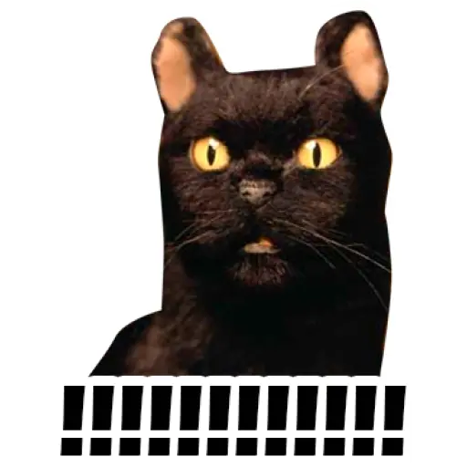 Salem Saberhagen (Sabrina the Teenage Witch)