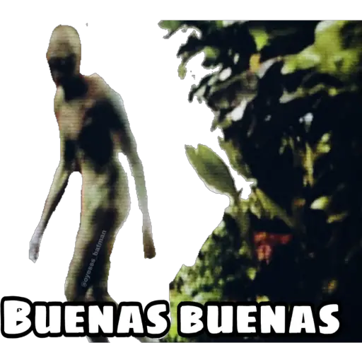 Señales
