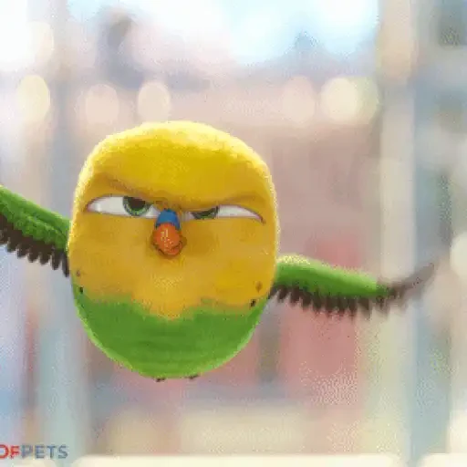 Snowball Animado