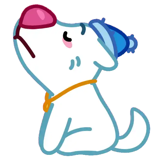 Snowball Boy