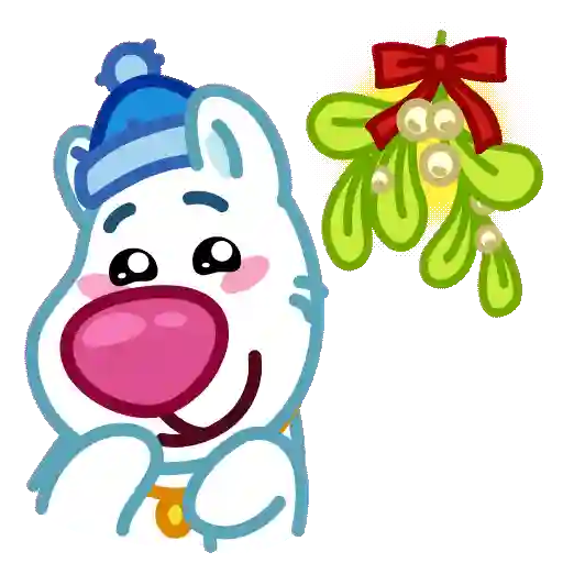 Snowball Boy