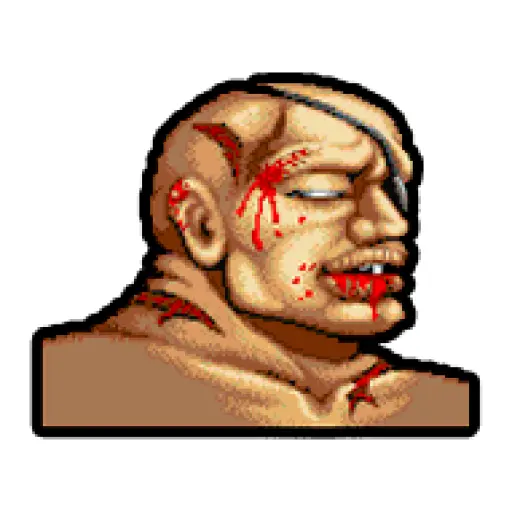 Street Fighter II