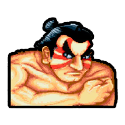 Street Fighter II