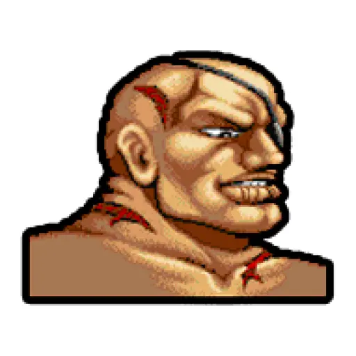 Street Fighter II