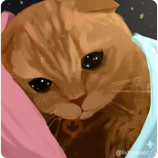 SURPRISE sticker 19