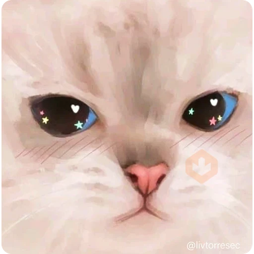 SURPRISE sticker 24