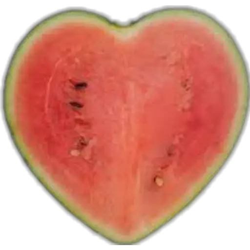 CoraZones De Comida☆♡ 
