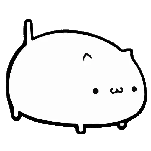 WHITE KITTEN