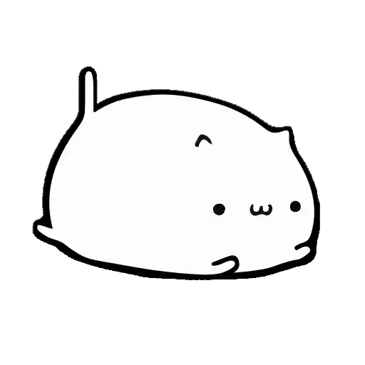 WHITE KITTEN
